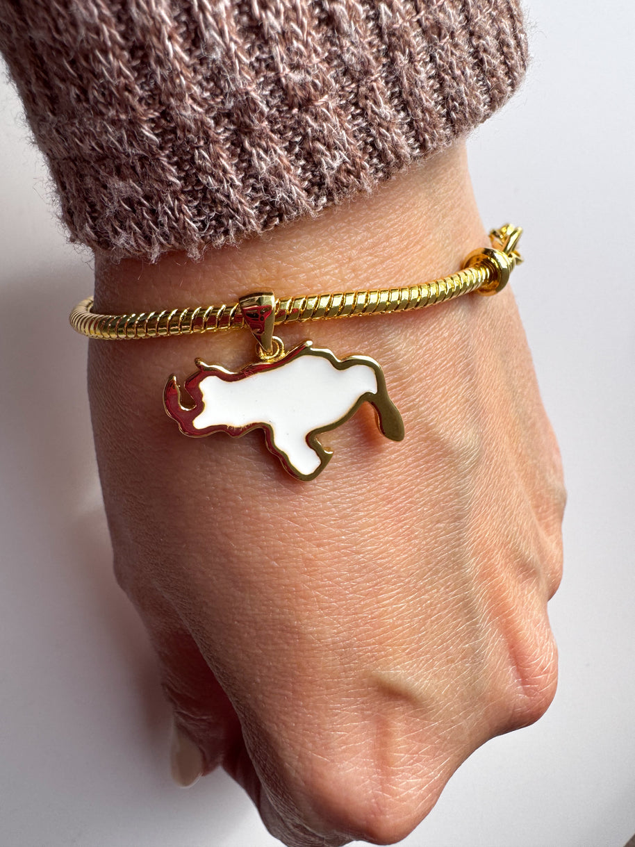 White Venezuela Map Style Charms Bracelet