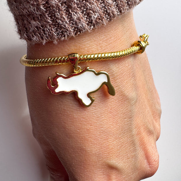 White Venezuela Map Style Charms Bracelet