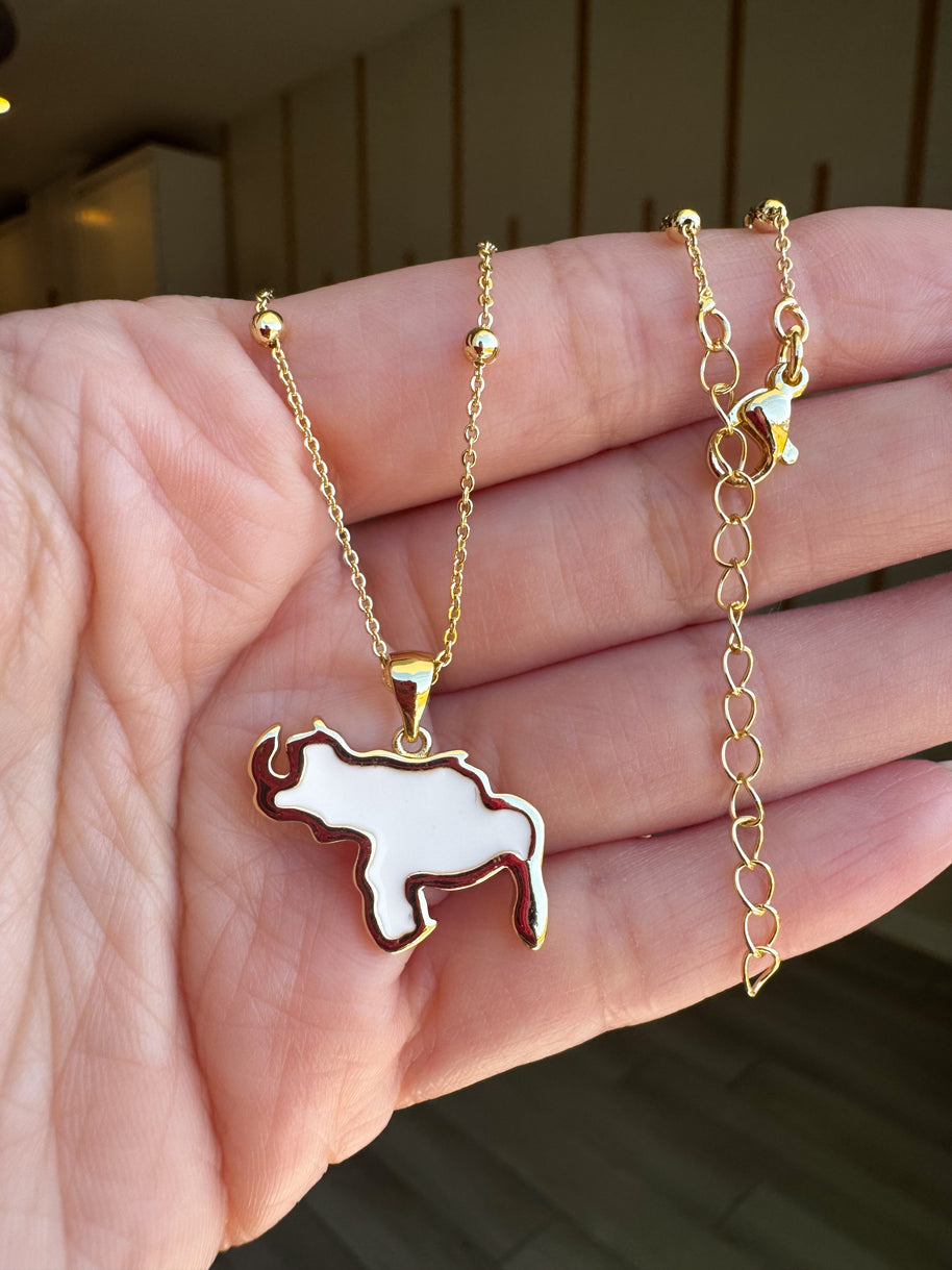 White Venezuela Map Necklace