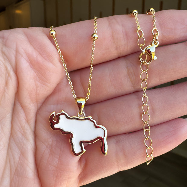 White Venezuela Map Necklace