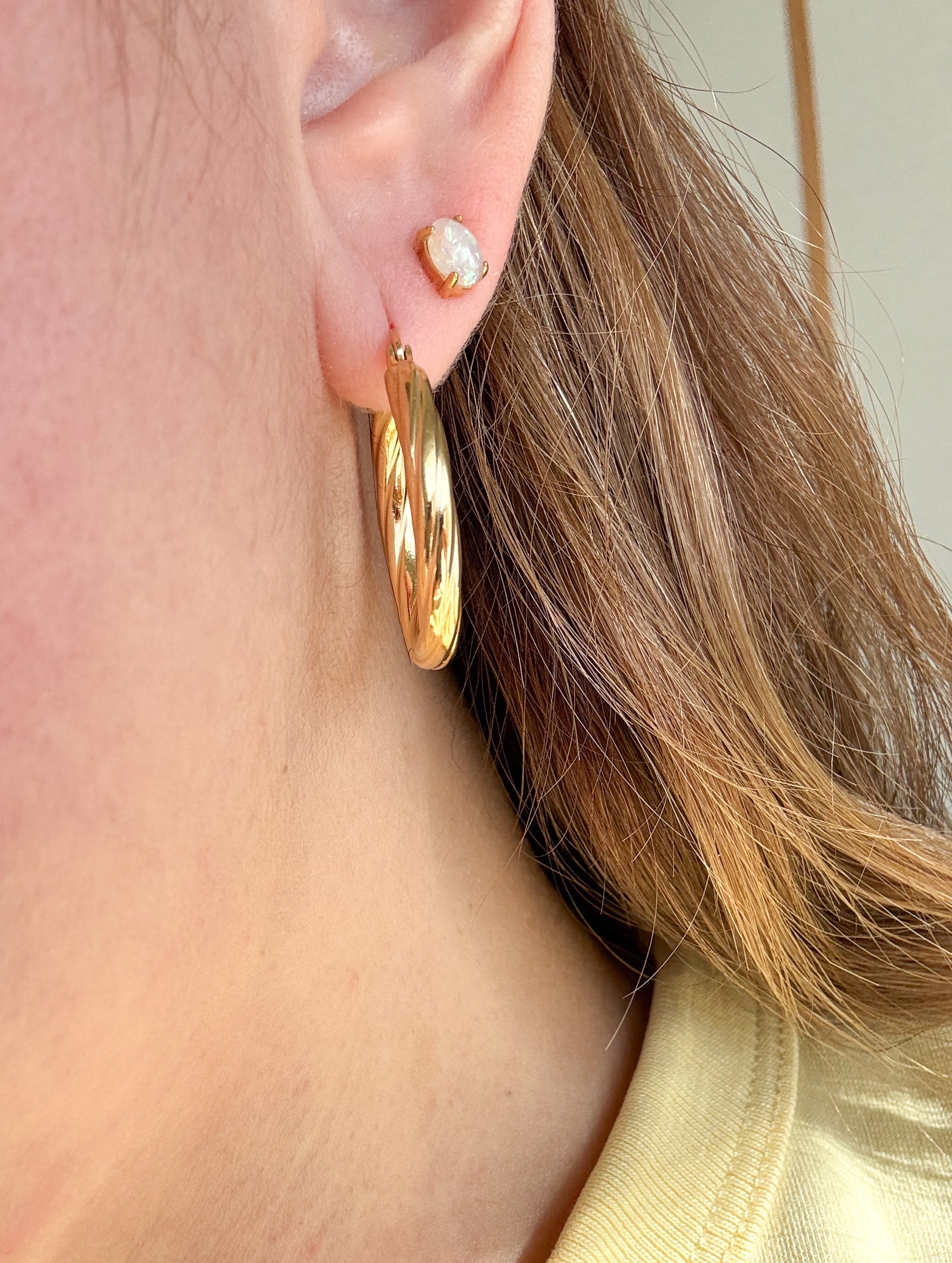 Stainless Steel Hoops & Earrings