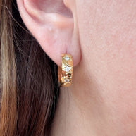 Crystal Stars ⭐️ Golden Steel Hoops