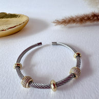 Rigid Steel Silver and Gold Shiny Bracelet