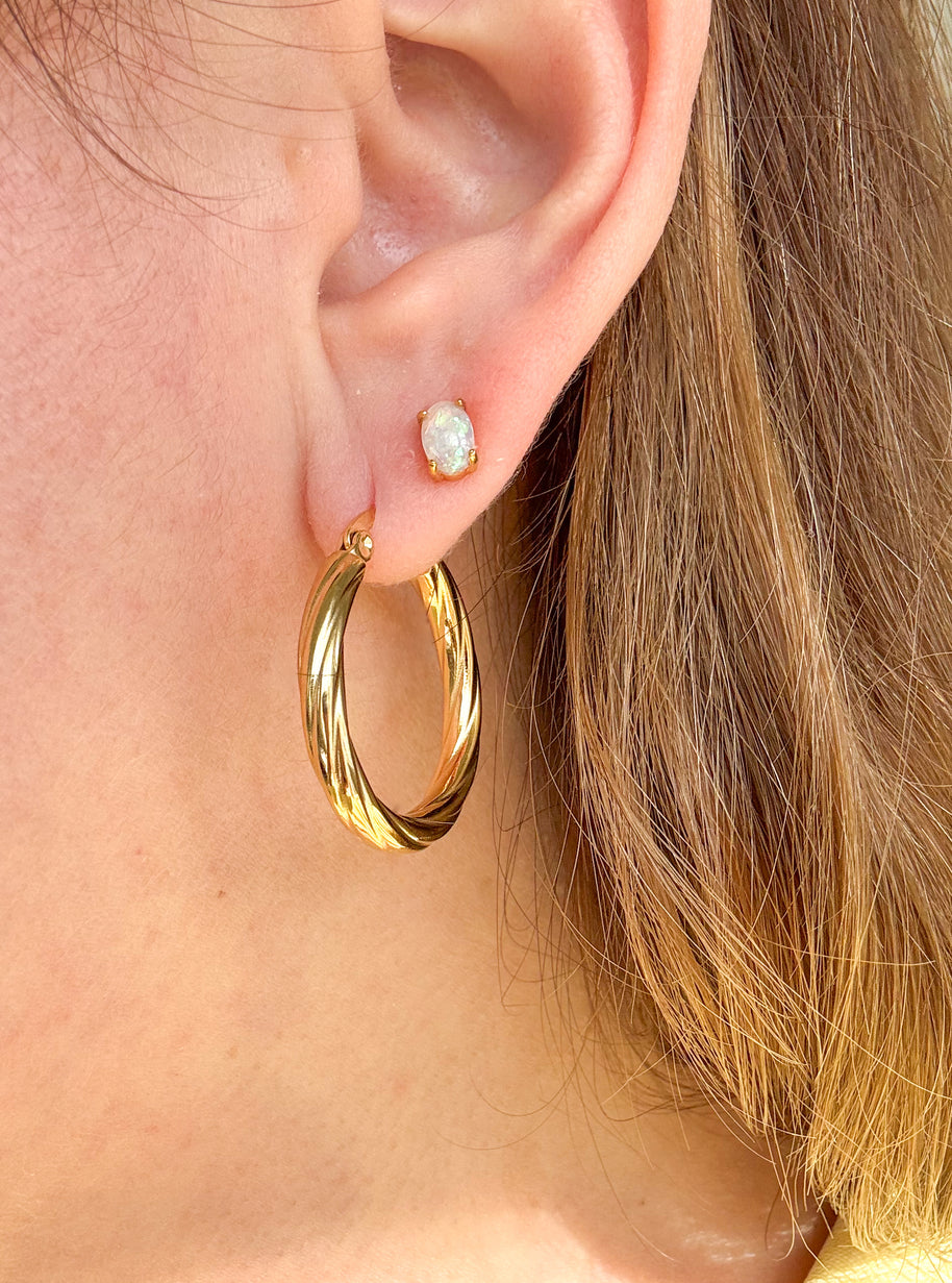 Stainless Steel Hoops & Earrings