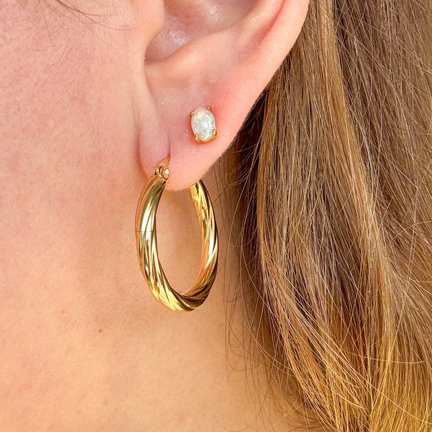 Stainless Steel Hoops & Earrings