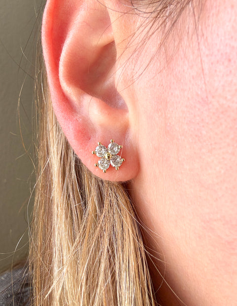 Arete Shiny Clover