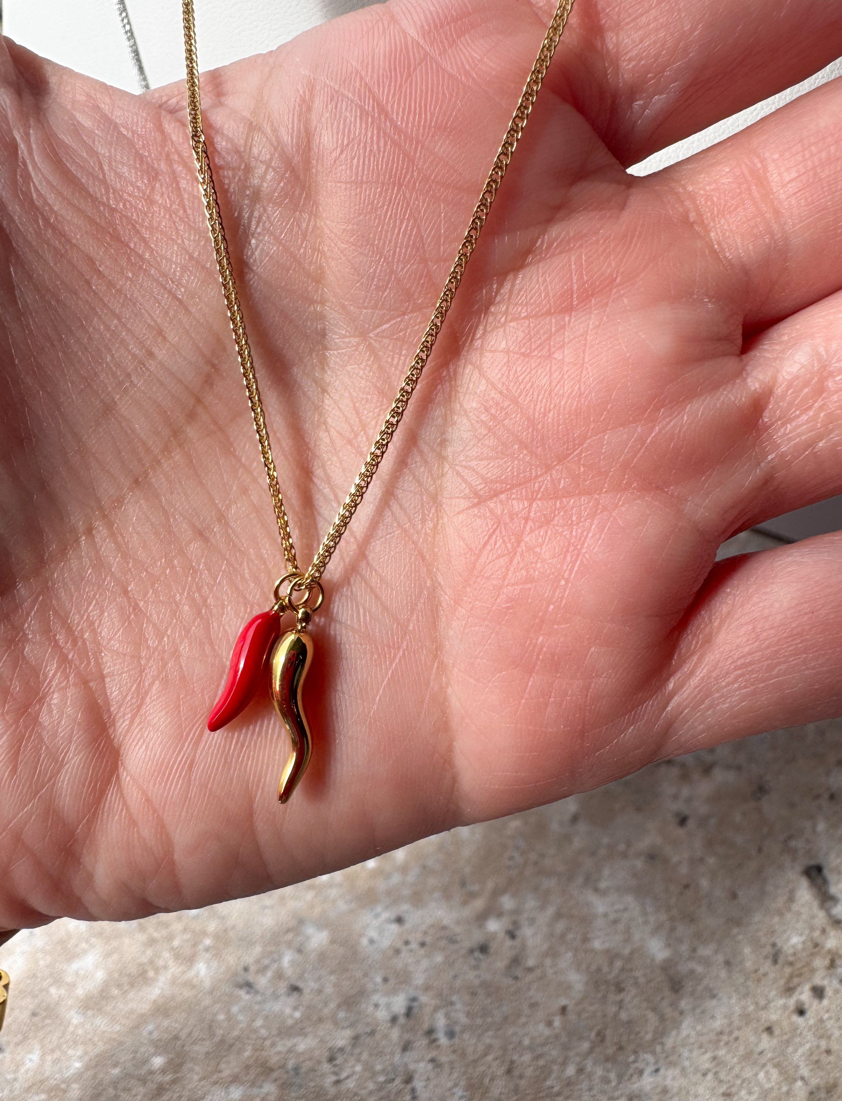 Cornicello Steel Necklace