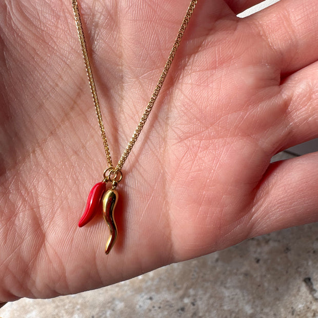 Cornicello Steel Necklace