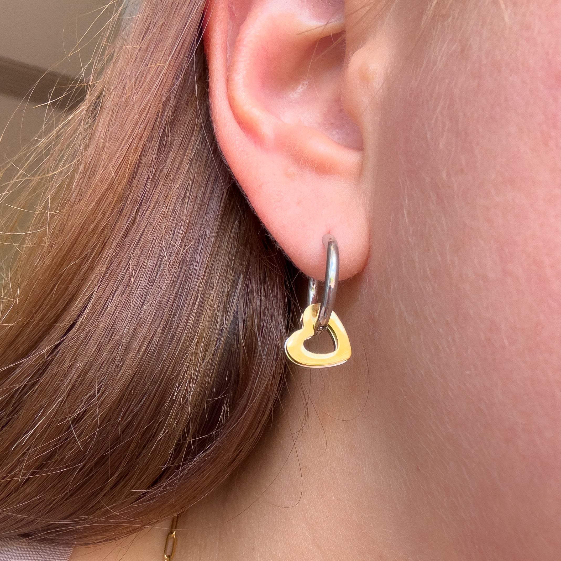 Silver and Gold Multi Heart Steel Hoops
