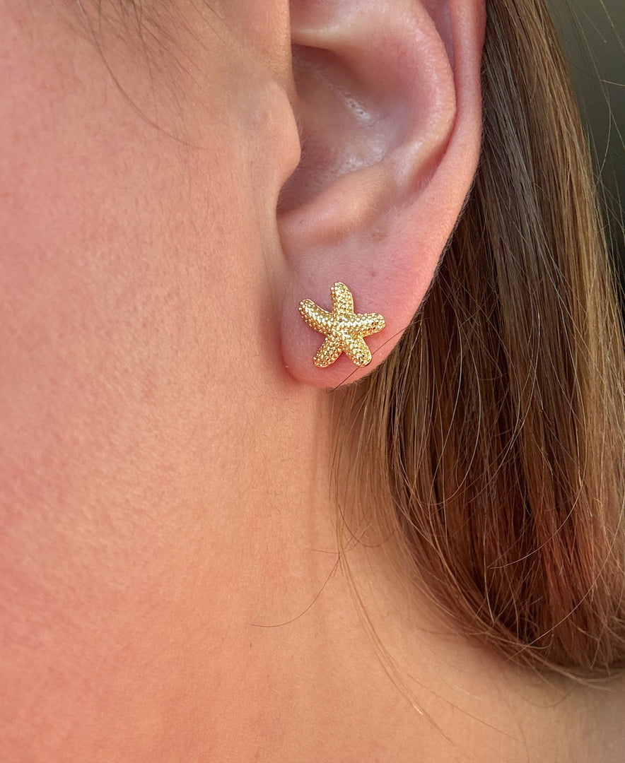Topitos Estrella de Mar Dorada