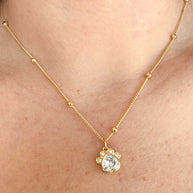 Dog Paw Crystal Necklace