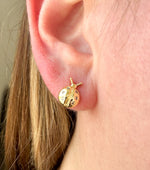 Load image into Gallery viewer, Aretes Golden Ladybug
