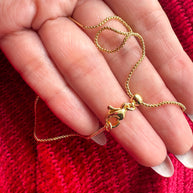 Dr Jose Gregorio Hernandez Scapular Gold Chain