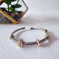 Rigid Steel Silver and Gold Shiny Bracelet