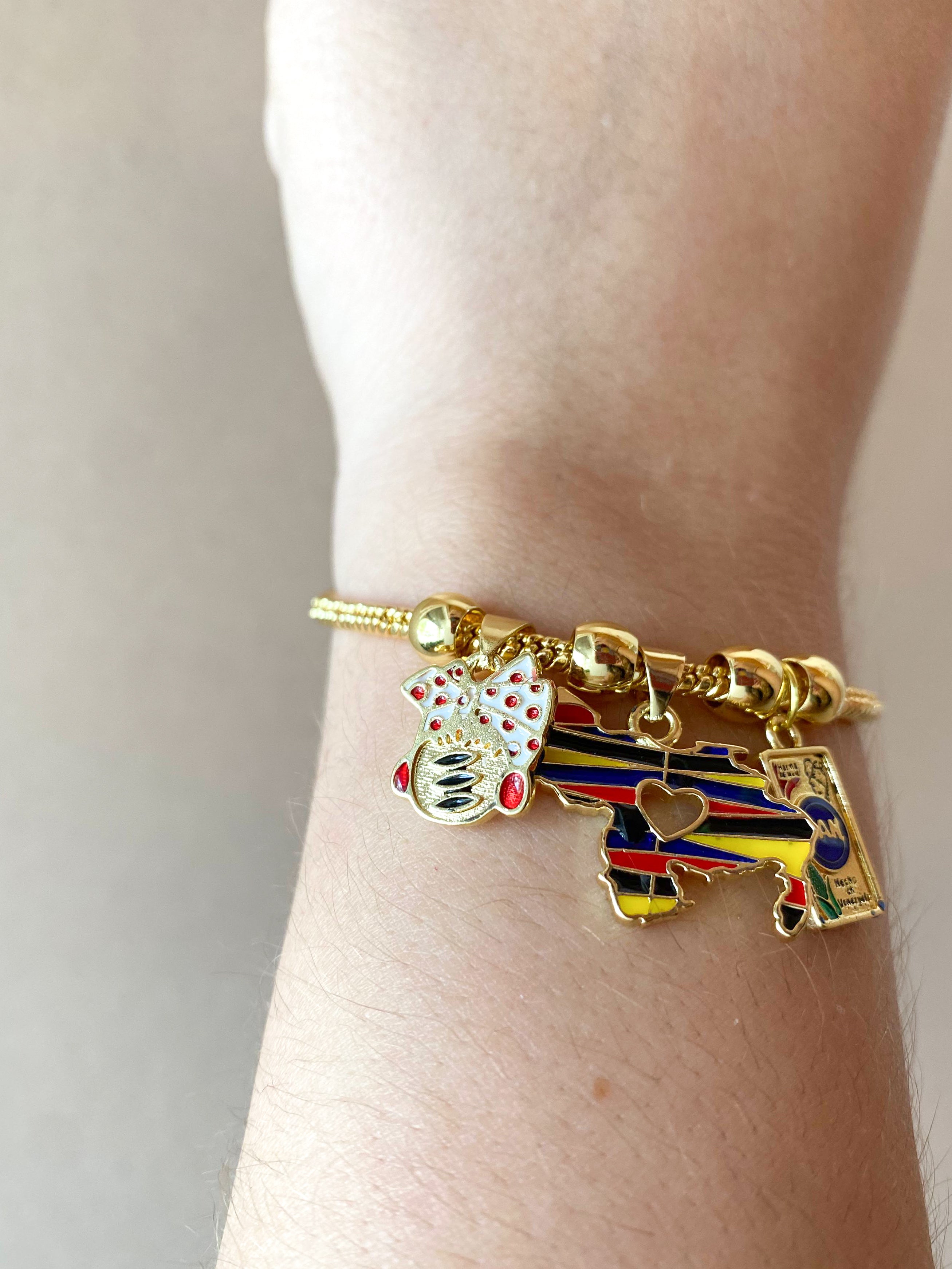Harina Pan Venezuelan Map 3 Charms Style Bracelet