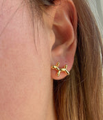 Load image into Gallery viewer, Aretes de Perritos

