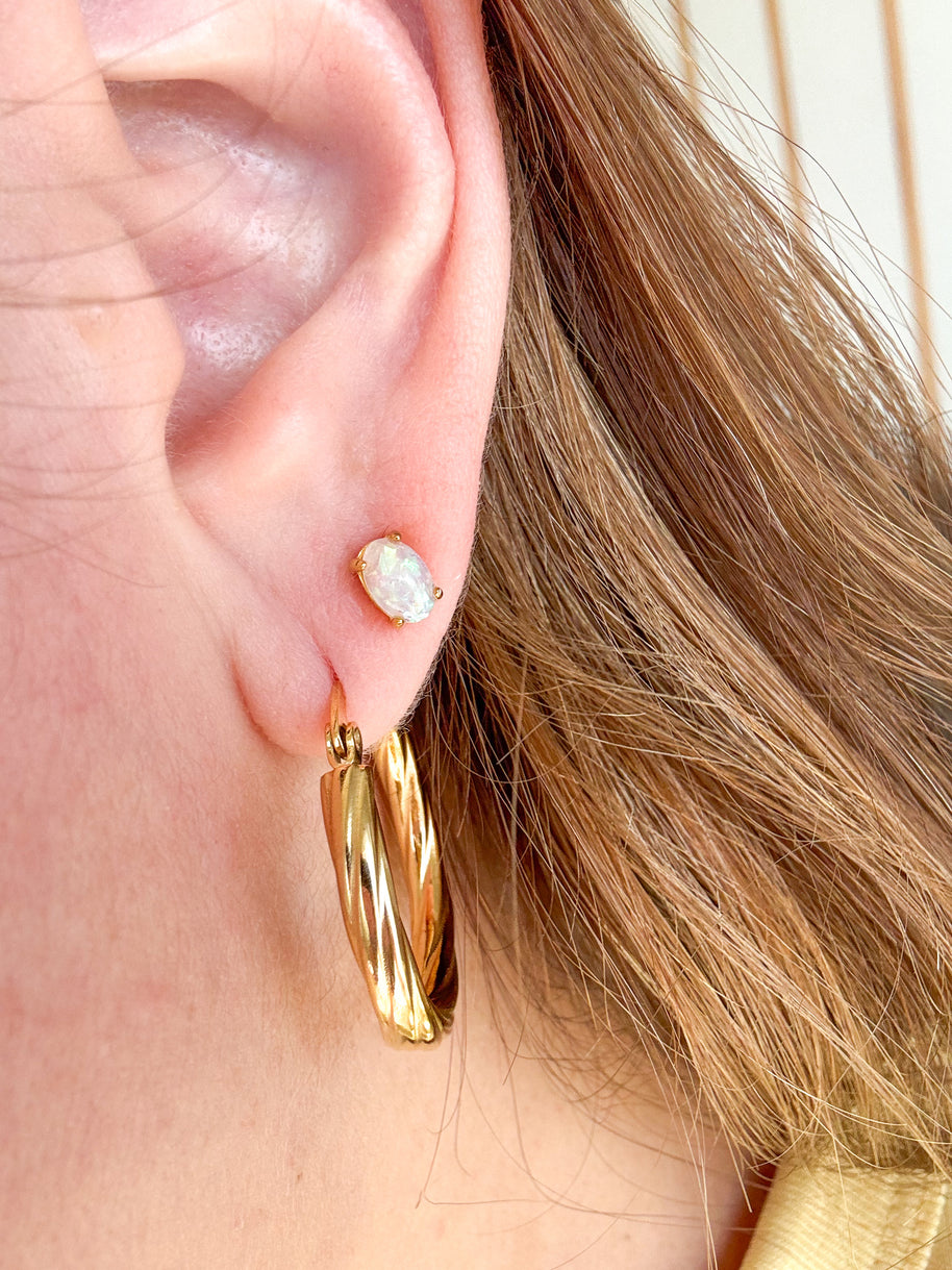 Stainless Steel Hoops & Earrings