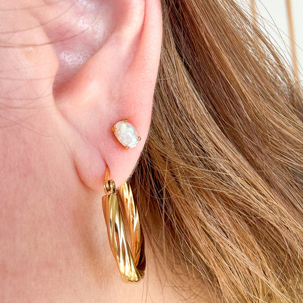 Stainless Steel Hoops & Earrings