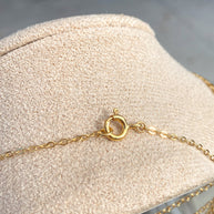 Zodiac Signs in Mother Of Pearl Charms Necklace