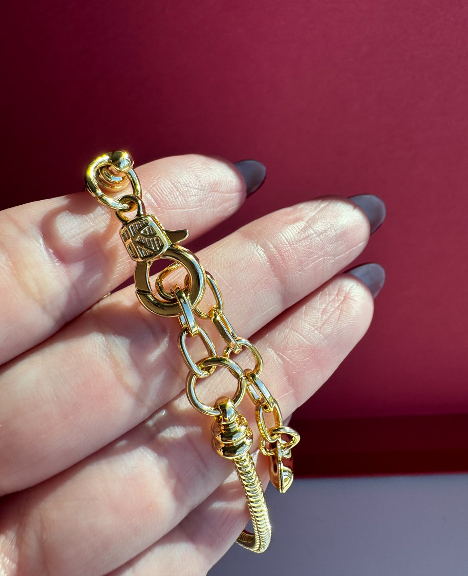 Brazalete Escapulario San Benito