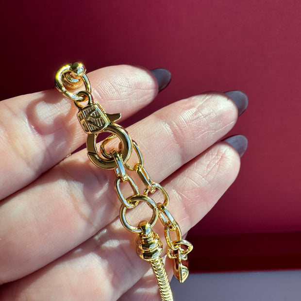 Brazalete Escapulario San Benito