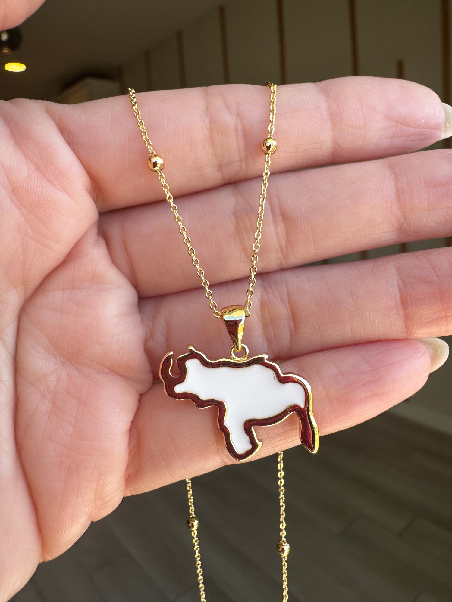 White Venezuela Map Necklace