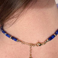 Imperial Jasper Necklace + Blue Fish