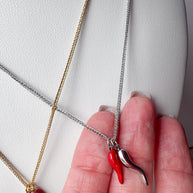 Cornicello Steel Necklace