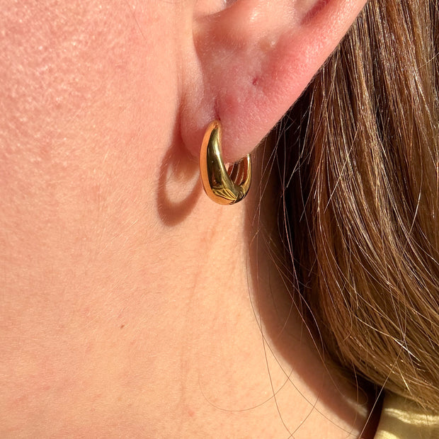 Gold & Silver Oval Hoops