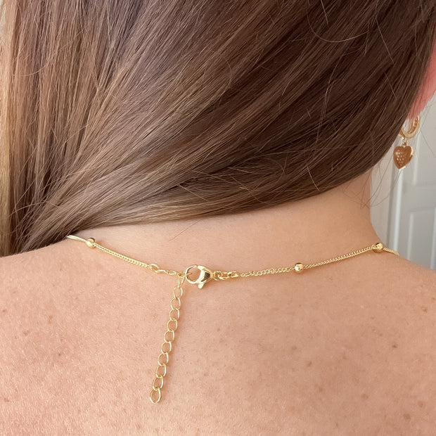 Dog Paw Crystal Necklace