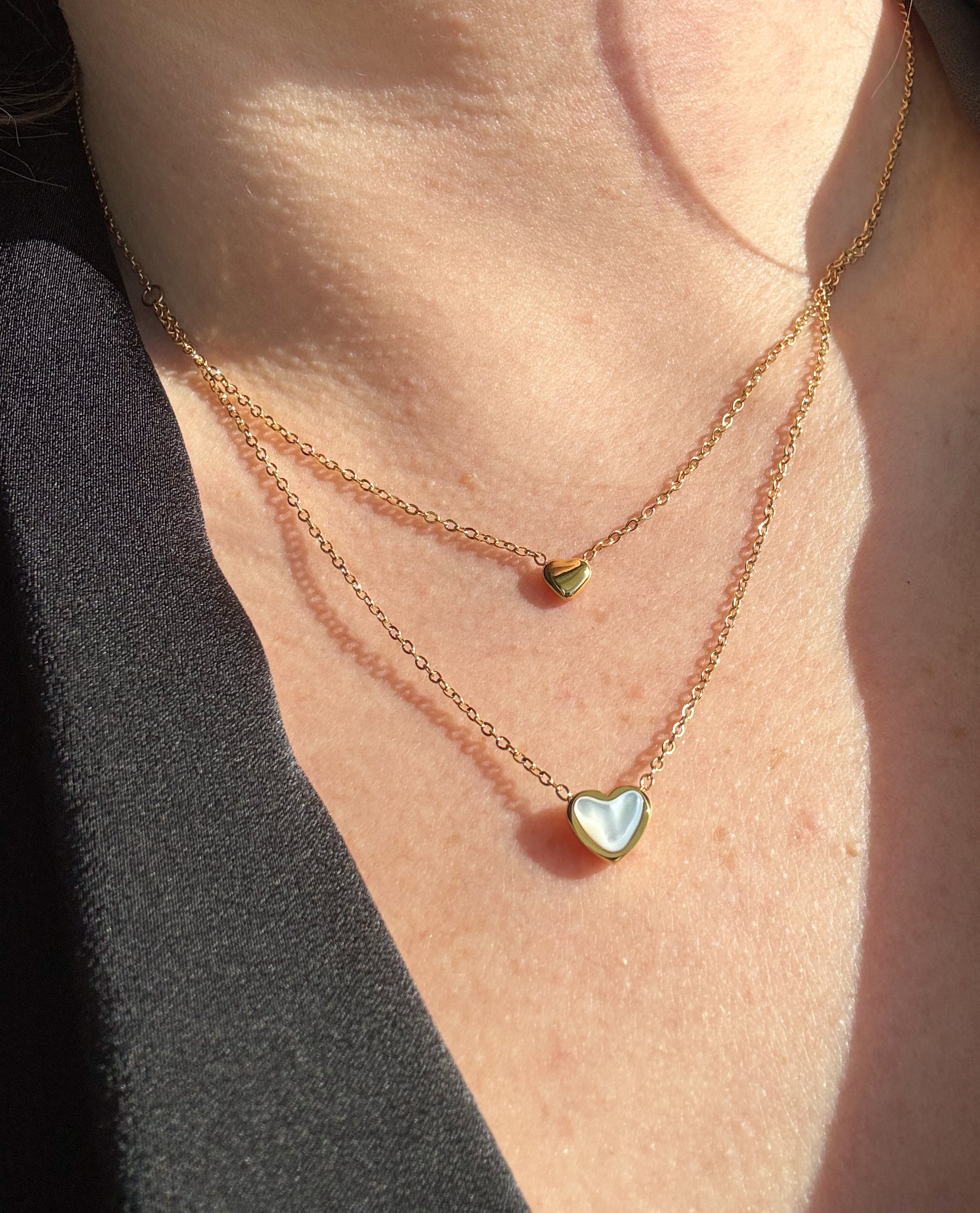 Double Heart Steel Necklace