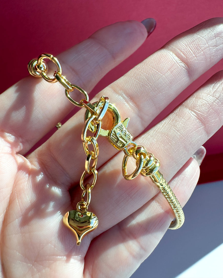 Brazalete Escapulario Virgen de Guadalupe