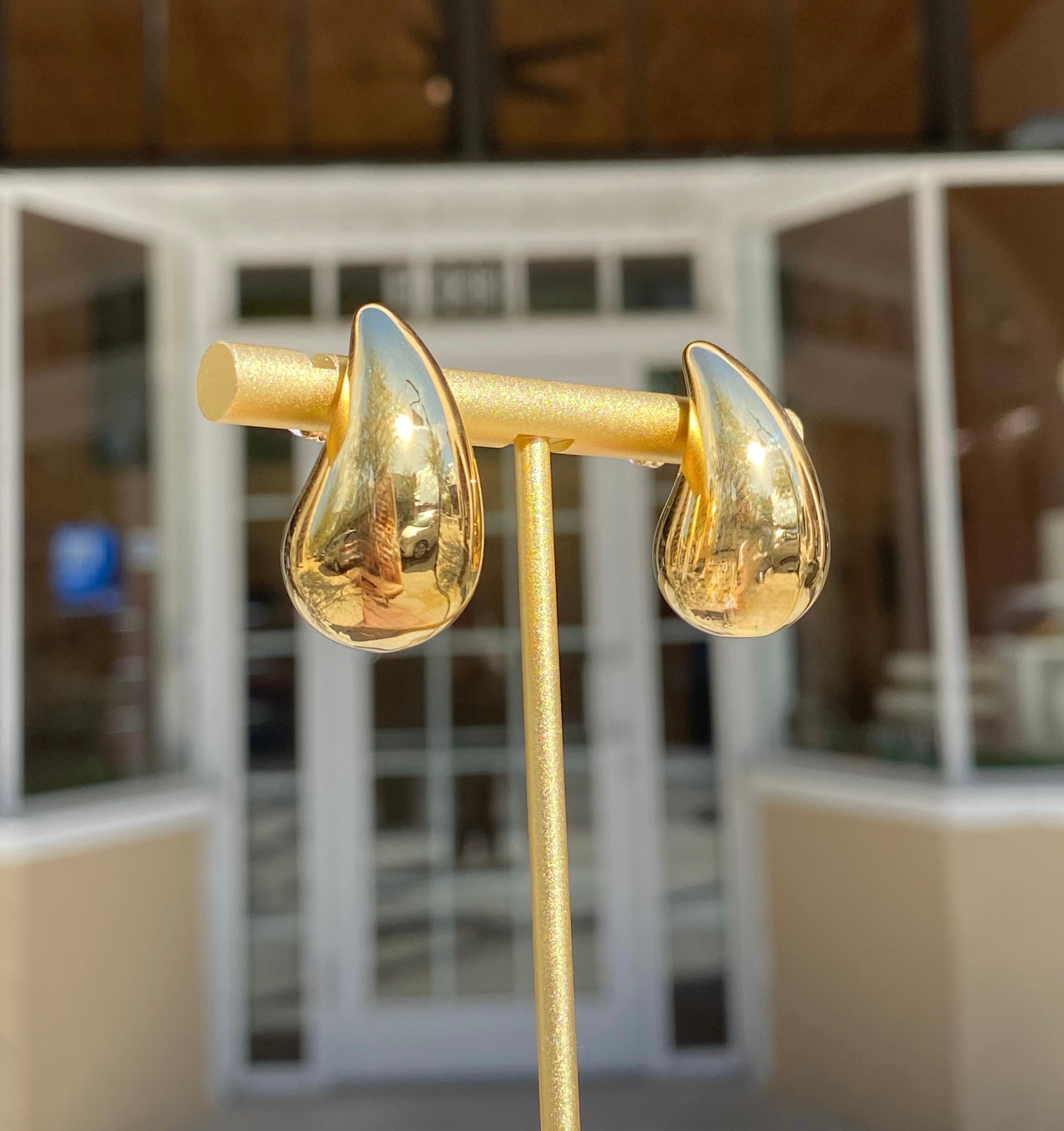 Big Drop Steel Silver & Gold Earrings